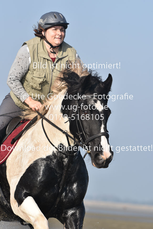 St-Peter-Ording-7-8-_421.jpg