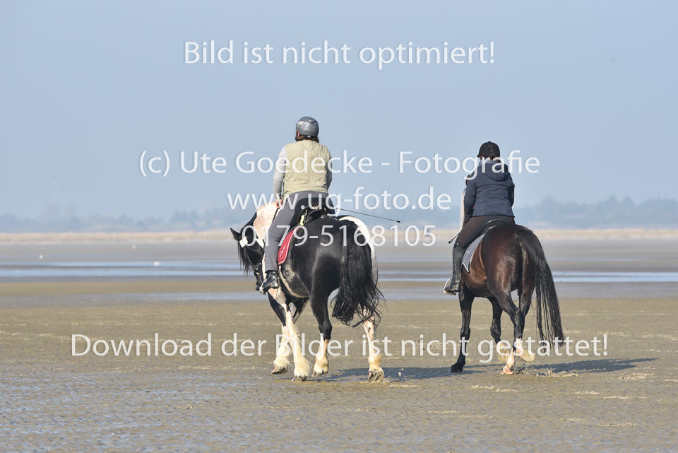 St-Peter-Ording-7-8-_423.jpg