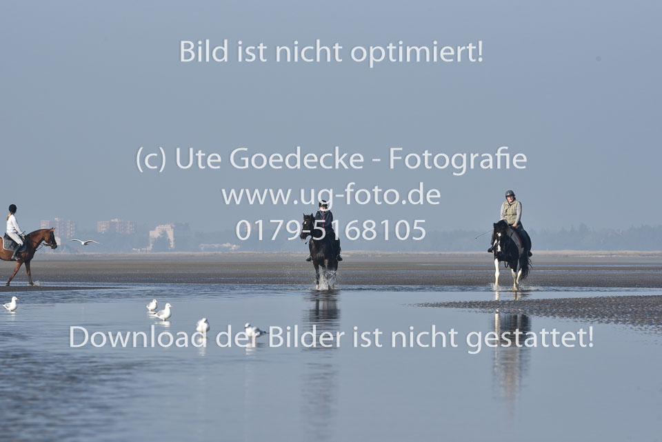 St-Peter-Ording-7-8-_429.jpg