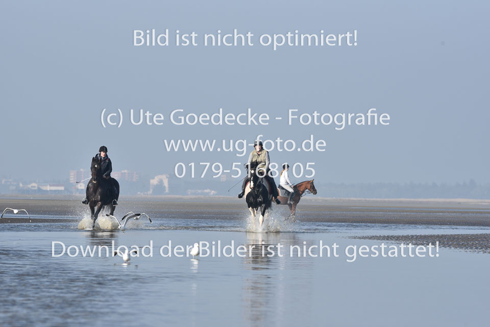 St-Peter-Ording-7-8-_433.jpg
