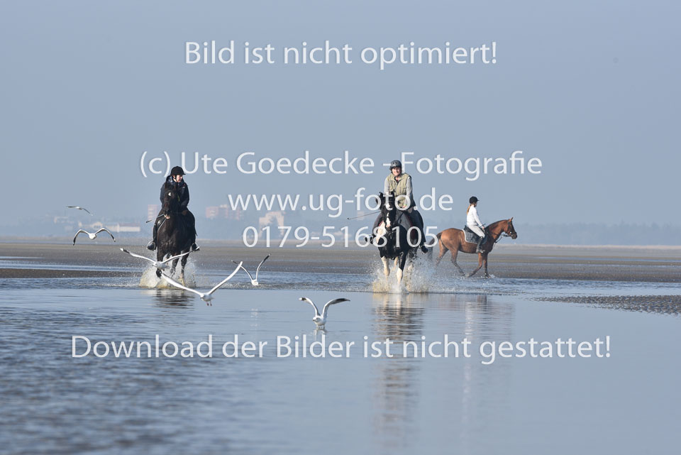 St-Peter-Ording-7-8-_434.jpg