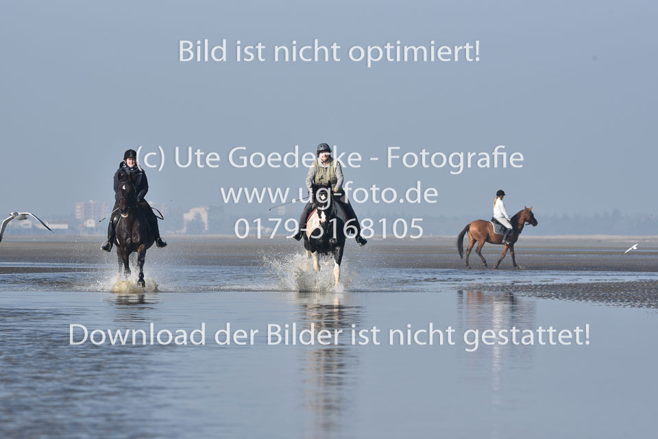 St-Peter-Ording-7-8-_439.jpg