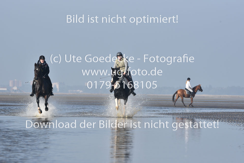 St-Peter-Ording-7-8-_443.jpg