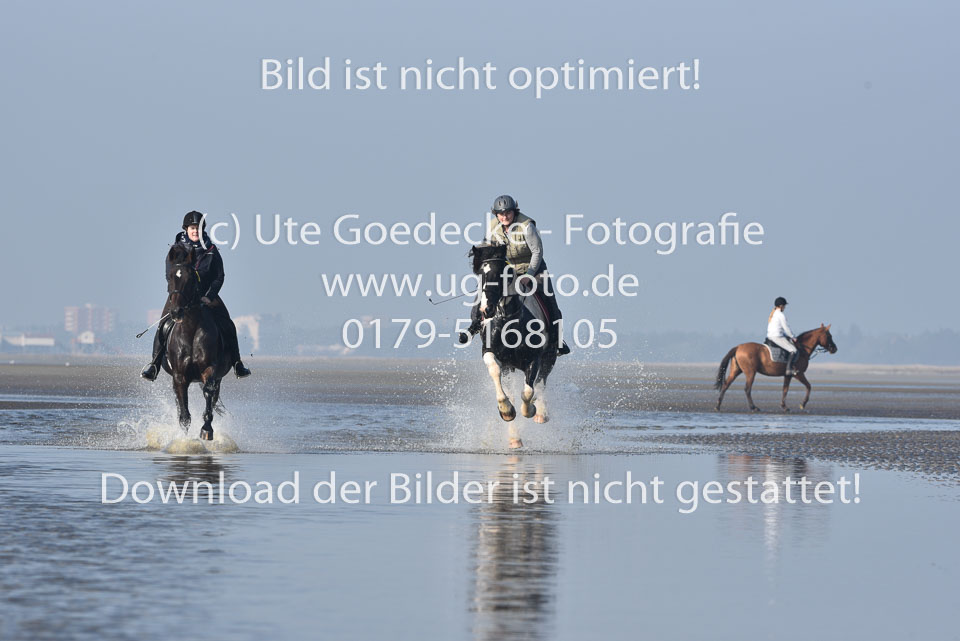 St-Peter-Ording-7-8-_444.jpg
