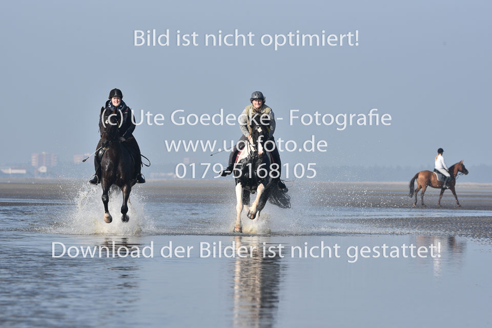 St-Peter-Ording-7-8-_449.jpg