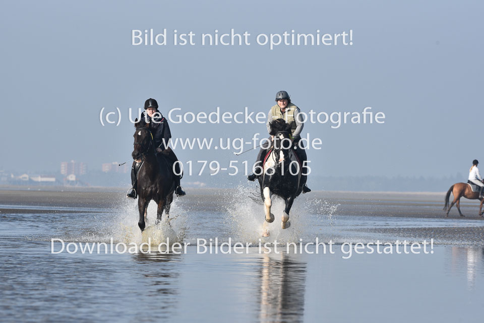 St-Peter-Ording-7-8-_451.jpg