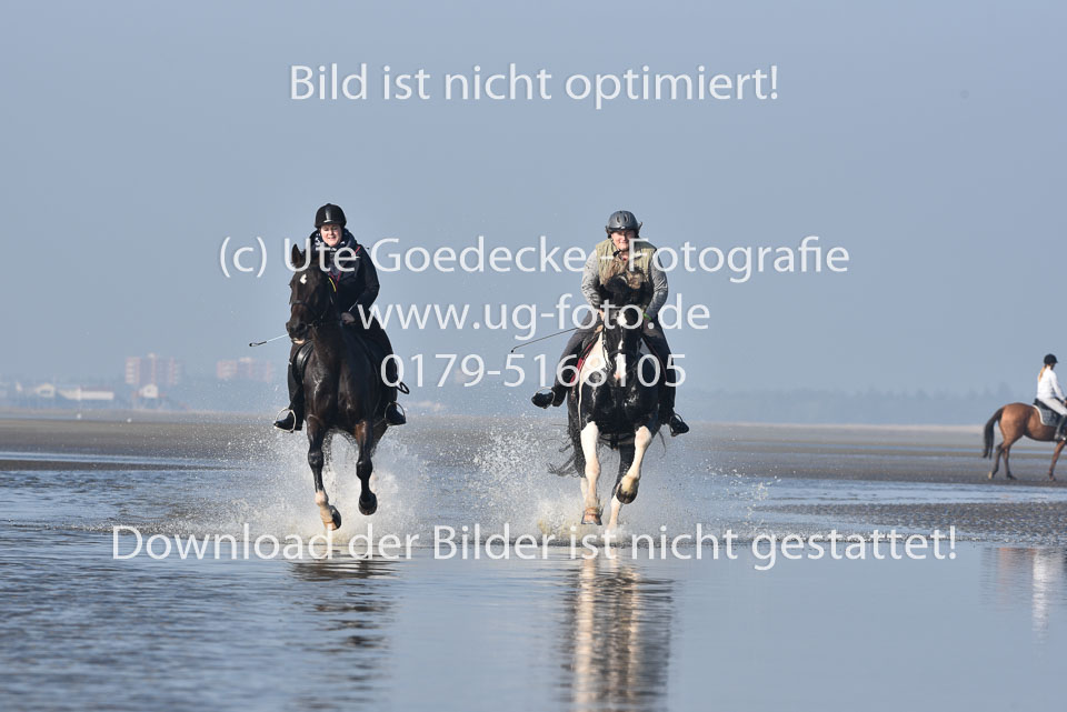 St-Peter-Ording-7-8-_452.jpg