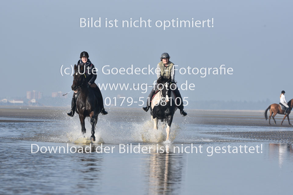 St-Peter-Ording-7-8-_453.jpg