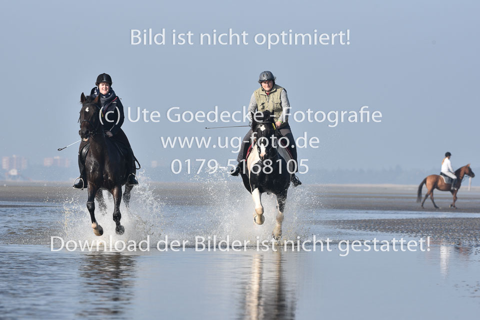 St-Peter-Ording-7-8-_456.jpg