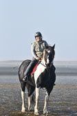 St-Peter-Ording-7-8-_010.jpg