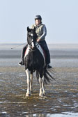 St-Peter-Ording-7-8-_013.jpg