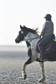 St-Peter-Ording-7-8-_015.jpg