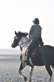 St-Peter-Ording-7-8-_016.jpg
