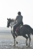 St-Peter-Ording-7-8-_017.jpg