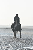 St-Peter-Ording-7-8-_022.jpg
