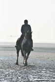 St-Peter-Ording-7-8-_024.jpg