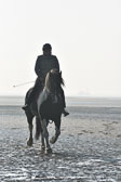 St-Peter-Ording-7-8-_025.jpg