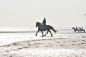 St-Peter-Ording-7-8-_037.jpg