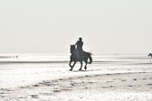 St-Peter-Ording-7-8-_039.jpg