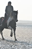 St-Peter-Ording-7-8-_052.jpg