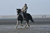 St-Peter-Ording-7-8-_056.jpg