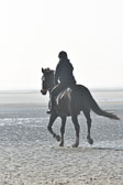 St-Peter-Ording-7-8-_066.jpg