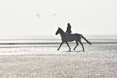 St-Peter-Ording-7-8-_072.jpg
