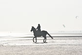 St-Peter-Ording-7-8-_080.jpg