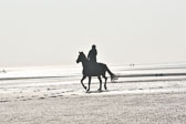 St-Peter-Ording-7-8-_084.jpg