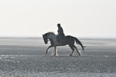 St-Peter-Ording-7-8-_103.jpg