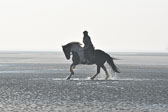 St-Peter-Ording-7-8-_105.jpg