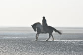 St-Peter-Ording-7-8-_106.jpg