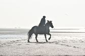St-Peter-Ording-7-8-_115.jpg