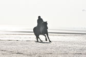 St-Peter-Ording-7-8-_119.jpg