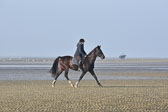 St-Peter-Ording-7-8-_126.jpg