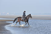 St-Peter-Ording-7-8-_131.jpg