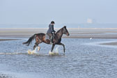 St-Peter-Ording-7-8-_134.jpg