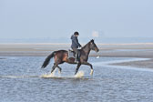 St-Peter-Ording-7-8-_136.jpg