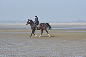 St-Peter-Ording-7-8-_141.jpg
