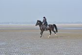 St-Peter-Ording-7-8-_142.jpg