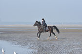 St-Peter-Ording-7-8-_148.jpg