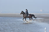 St-Peter-Ording-7-8-_155.jpg
