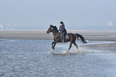 St-Peter-Ording-7-8-_156.jpg
