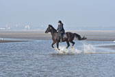 St-Peter-Ording-7-8-_158.jpg