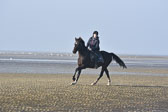 St-Peter-Ording-7-8-_172.jpg