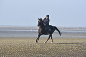 St-Peter-Ording-7-8-_173.jpg