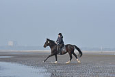 St-Peter-Ording-7-8-_181.jpg