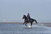 St-Peter-Ording-7-8-_185.jpg