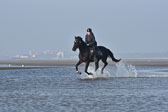 St-Peter-Ording-7-8-_187.jpg