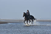 St-Peter-Ording-7-8-_190.jpg